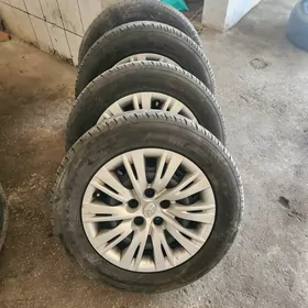 palta kemri disga pakrysga