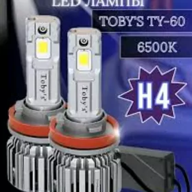 led toby kayer