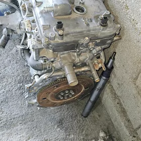 18 karola garatya