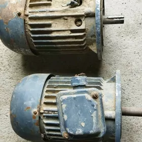 elektrodwigatel
