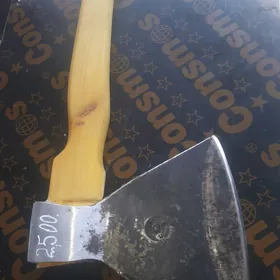 Palta
