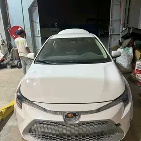 Toyota Corolla 2024
