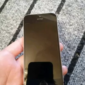iPhone 5s