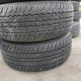 285/60/18 dunlop