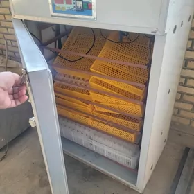 Инкубатор