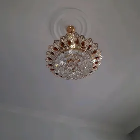 ЛЮСТРА