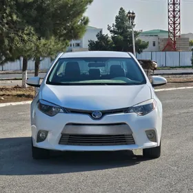 Toyota Corolla 2013