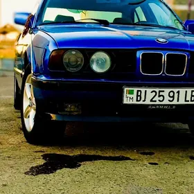 BMW 520 1991