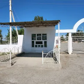 Arenda ýer️️️
