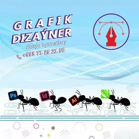 Grafik dizaýner