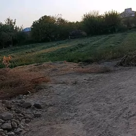 Ýorunja otluk
