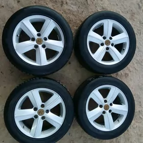 Tayota dysga
