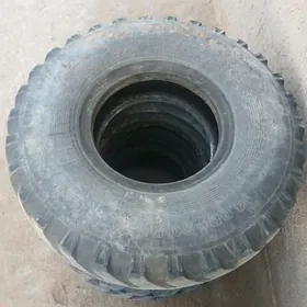 Ural tigyr Yskrepyr
