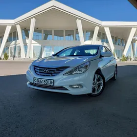 Hyundai Sonata 2010
