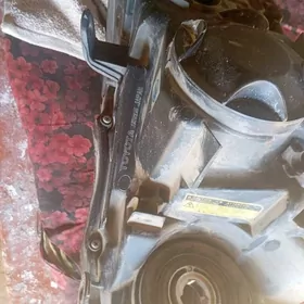 Lexus 2015 sag tarap