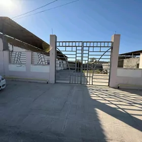 Şor