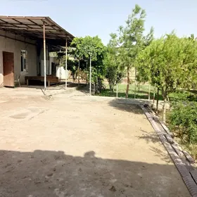 берзен канал дача
