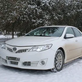 Toyota Camry 2013