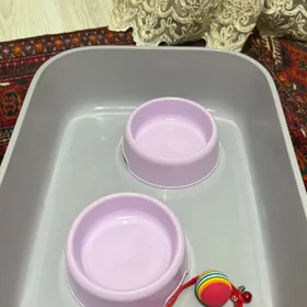 latok