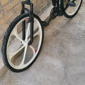 welsopet kama tigir welsepet
