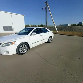 Toyota Camry 2010