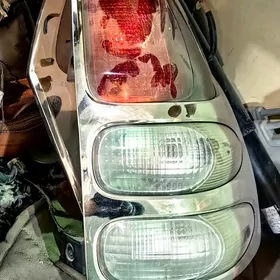 Prado stopnik