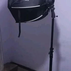 foto zontik