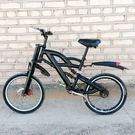 tigir 20lik