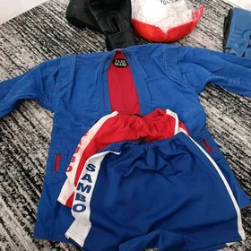 Sport Sambo boks