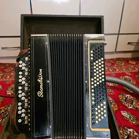 Баян