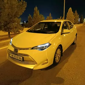 Toyota Corolla 2019