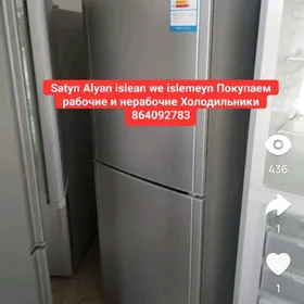 Satyn Alyan Покупаем Холодил