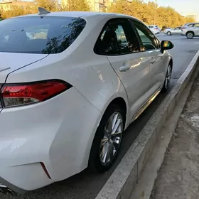 Toyota Corolla 2021