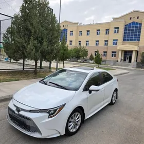 Toyota Corolla 2022