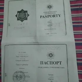 pasport yitdi