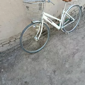 satlyk welik