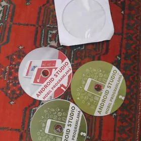 Diskler, programma