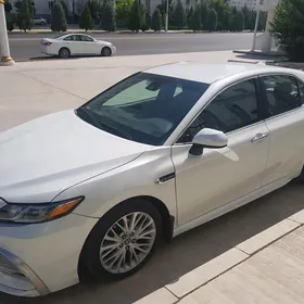 Toyota Camry 2020