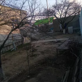 Gokje plon