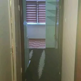 кемине винзавод