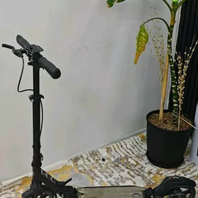samokad