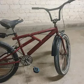 26lyk