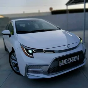 Toyota Corolla 2021