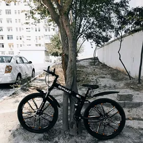Bmw tjgir