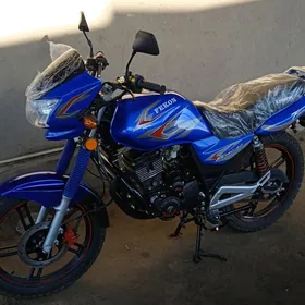 Fekon FK150-8G 2014