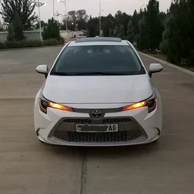 Toyota Corolla 2021