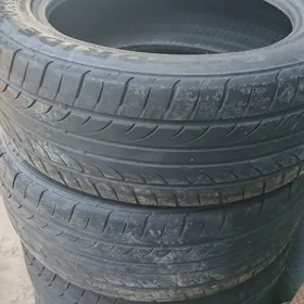 225 55 17