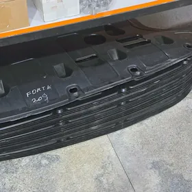 Kia Hyundai Motor zașitalar