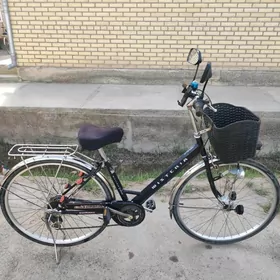 Welik 27 lik Satlyk