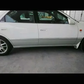 Camry Babocka HALIJI molding